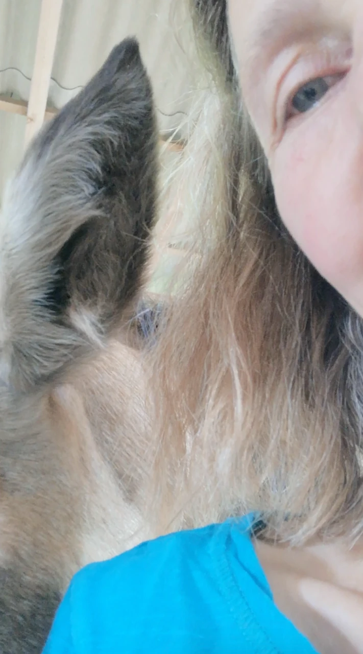 Mirjam Usbeck TCVM Auge und Ohr