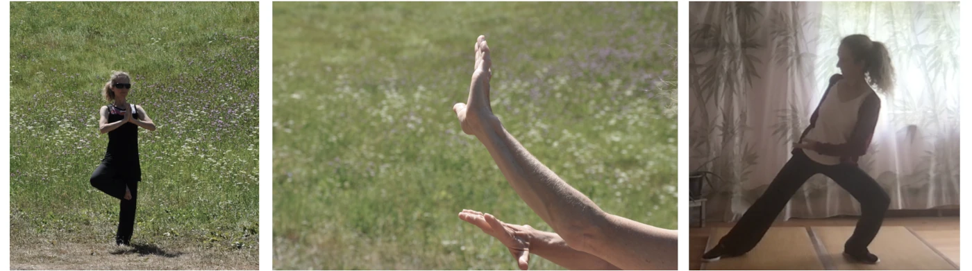 Balance-TaiChi